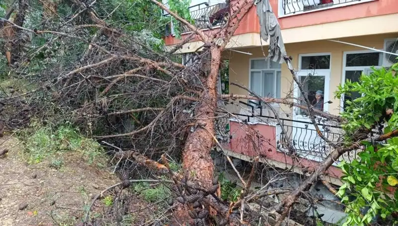 Yıkılan Bina: Yağmura Dayanamadı, Şehrin Merkezine Devrildi!