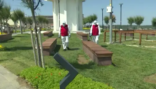 Kene Tehdidi Artıyor: Halka Açık Alanlarda İlaçlama Başladı!