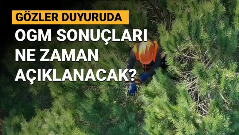 OGM Personel Alımı Sonuçları: 3.477 Sözleşmeli Pozisyonun Sonuçları Ne Zaman Açıklanacak?