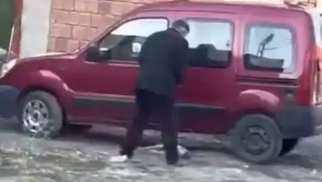 Sokak Ortasında Köpeğe Üzücü Şiddet Olayı: Hayvan Hakları İçin Yeni Uyarılar!