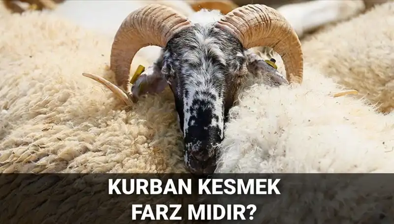 Kurban Kesmek Farz mı? Diyanet'ten Kesim Şartları ve Hükmü
