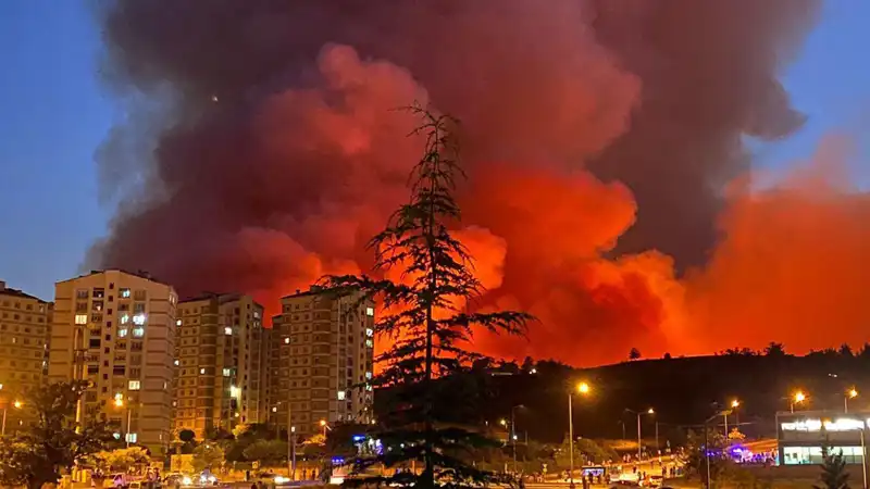 Bursa'daki Yangınlar: Şehrin Doğası ve Hayatı Tehlikede