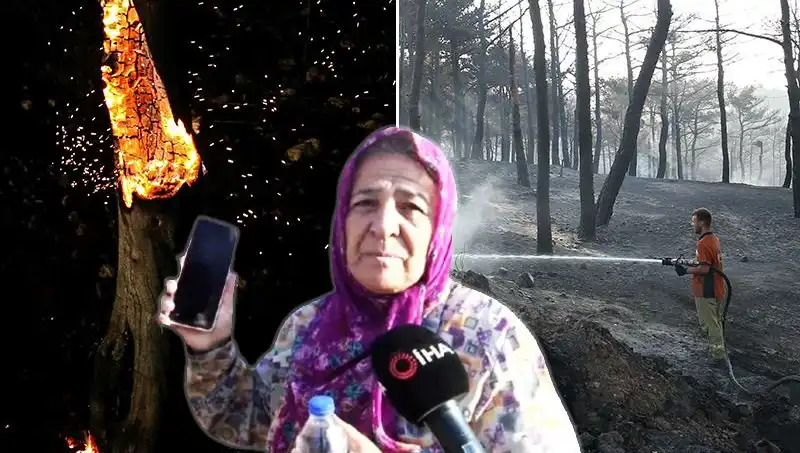 Çanakkale Orman Yangınları Kontrol Altına Alındı: Yangının Ardında Neler Var?