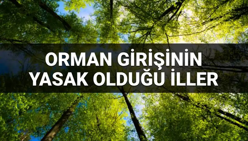 Hangi İllerde Ormana Girmek Yasak? Detaylı Listedeki Son Gelişmeler