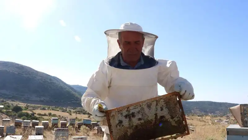 25 Yıl Önce Mobilyayı Bıraktı, Bu Yıl İki Ton Üretti!