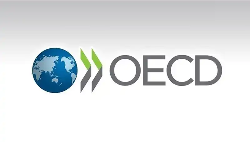 Türkiye'nin Büyüme Tahmini: OECD'den Şaşırtıcı Rakamlar ve Yorumlar