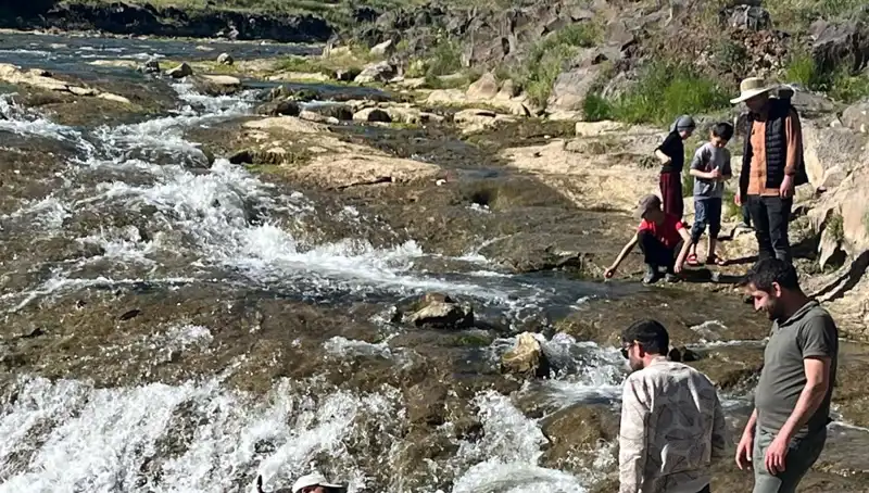 İnci Kefali Göçü: Doğa Harikası Turistleri Çekiyor!